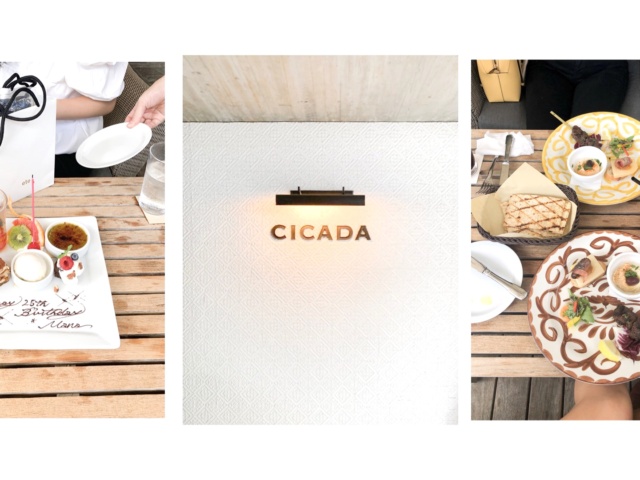 表参道 環地中海料理レストラン Cicada シカダ でくつろぎバースデーランチ Momoko Monica